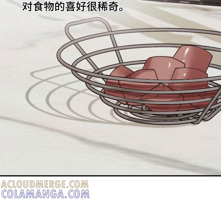 《负罪缩影》第66章：观察总结 第17页
