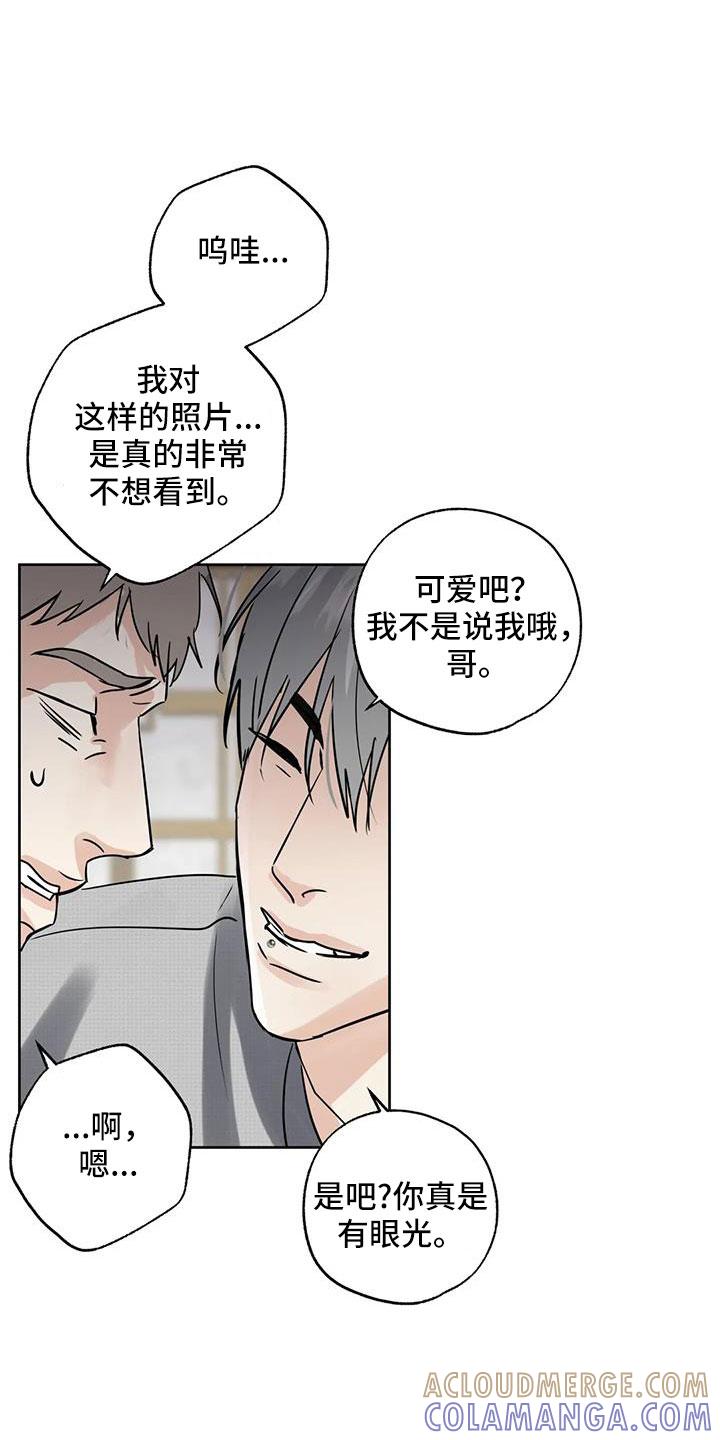 《邻居攻略》第69章：【第二季】重大一击 第5页