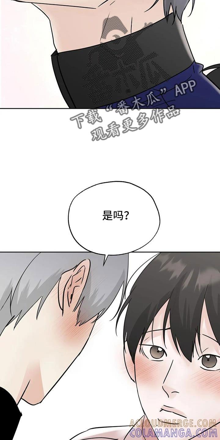 《邻居攻略》第82章：【第二季】我来负责 第19页