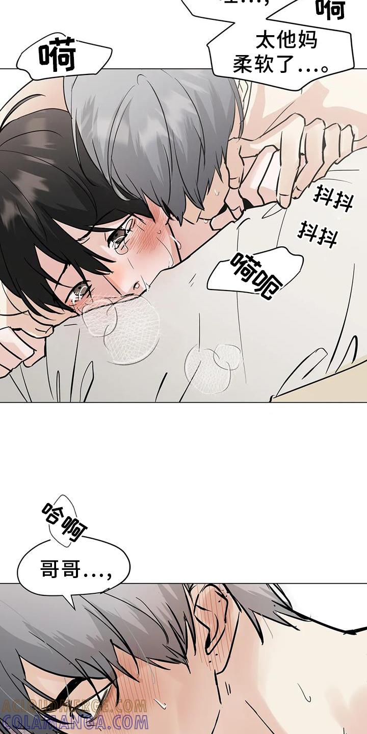 《邻居攻略》第85章：【第三季】最后的欺骗 第17页