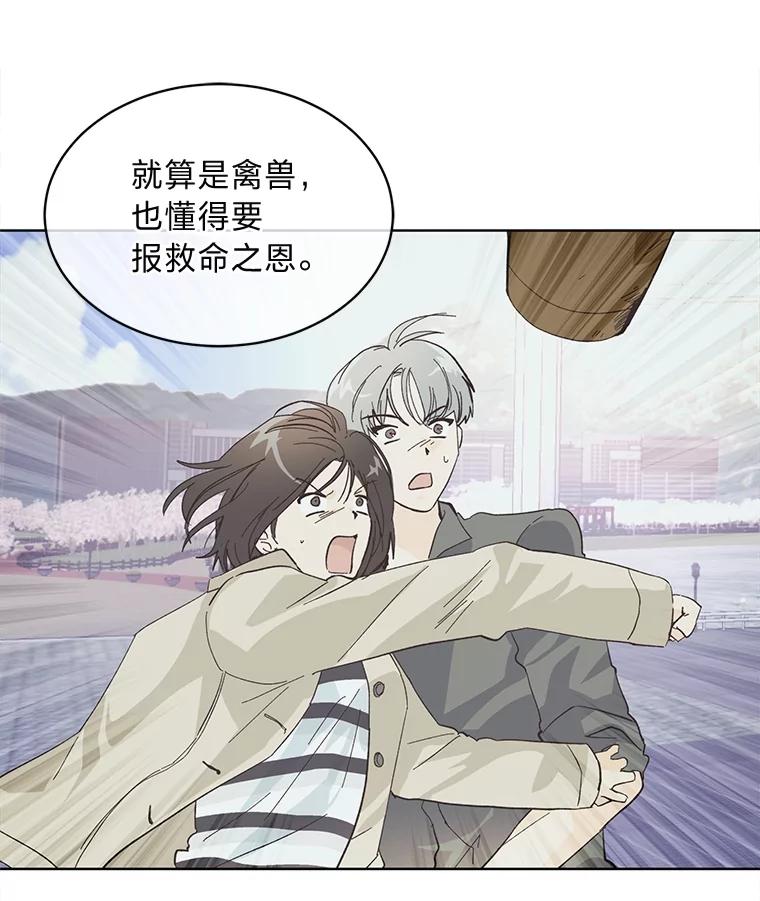 《遇见野兽》1.挚爱男友竟出轨 第65页
