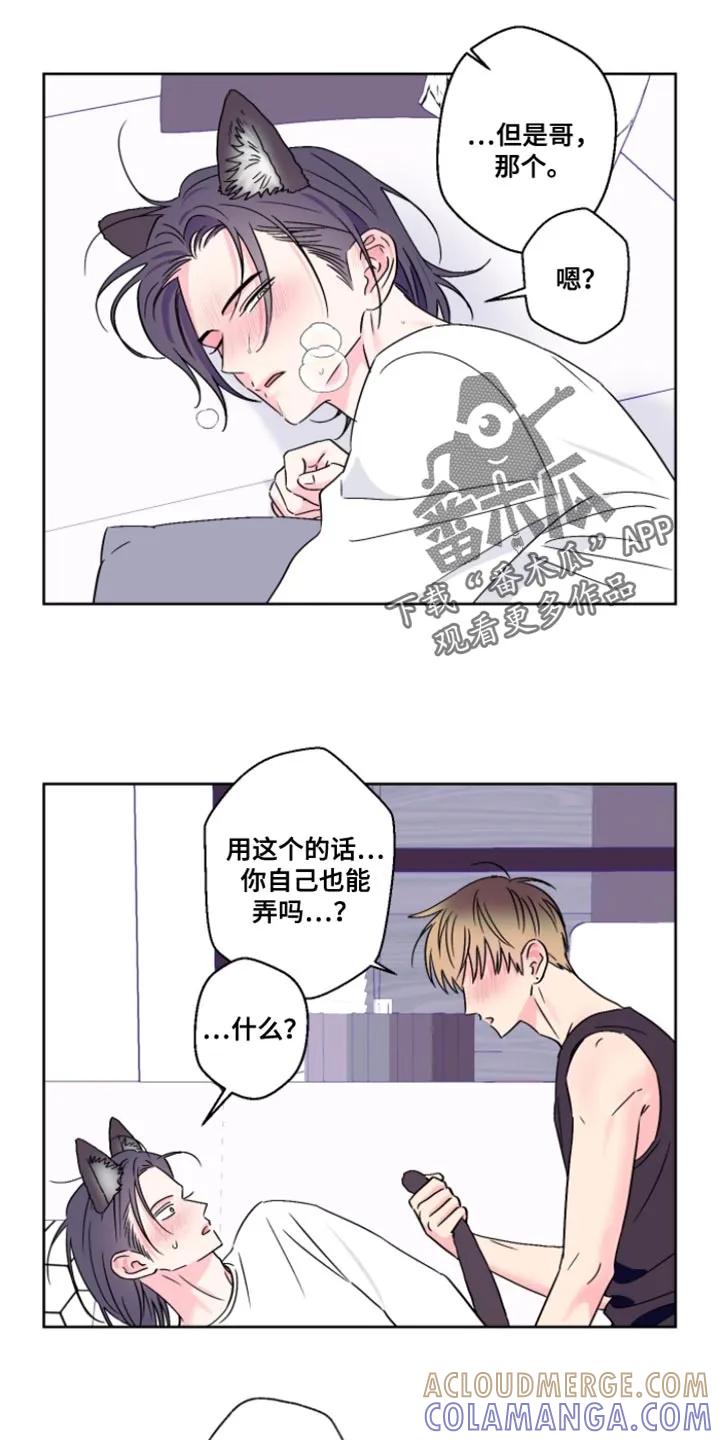 《倒霉经纪人》第105章：【第二季】真的很适合你 第13页