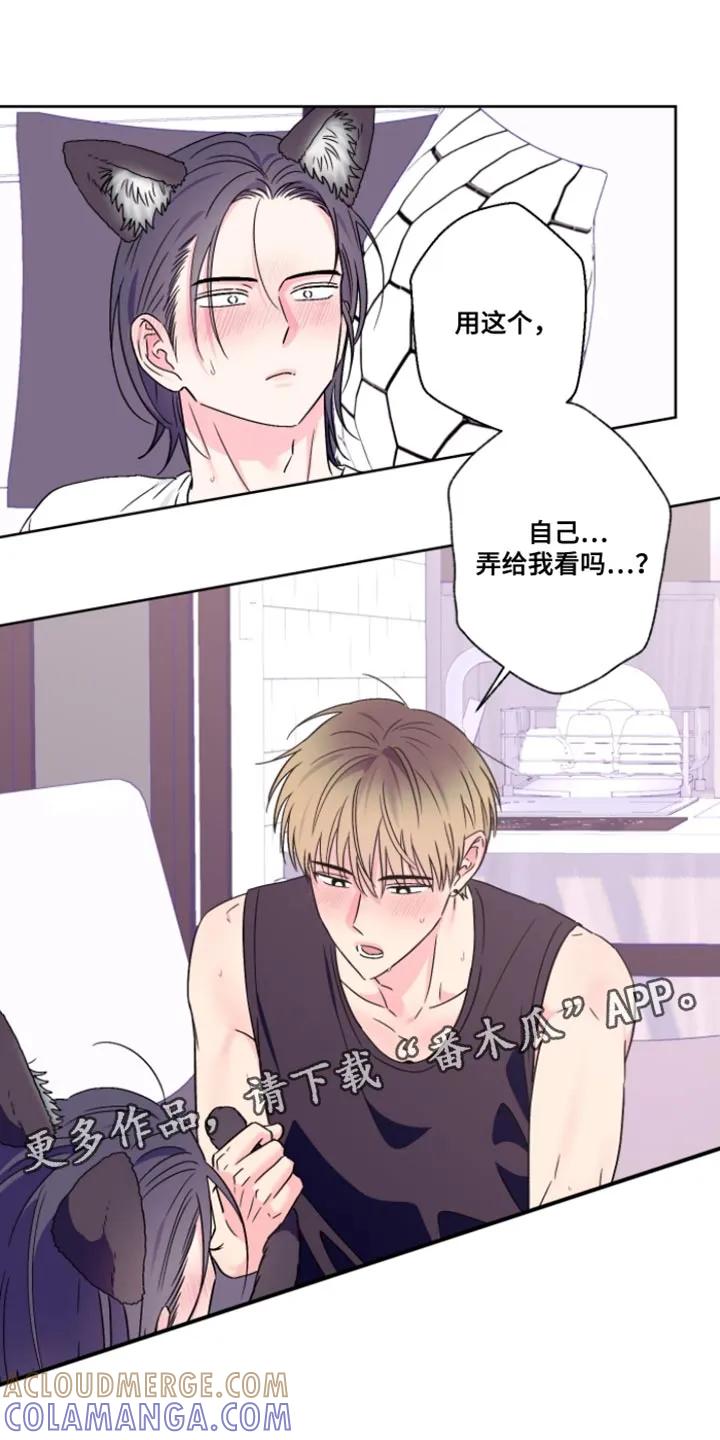 《倒霉经纪人》第105章：【第二季】真的很适合你 第15页