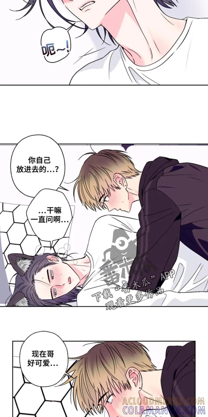 《倒霉经纪人》第105章：【第二季】真的很适合你 第7页