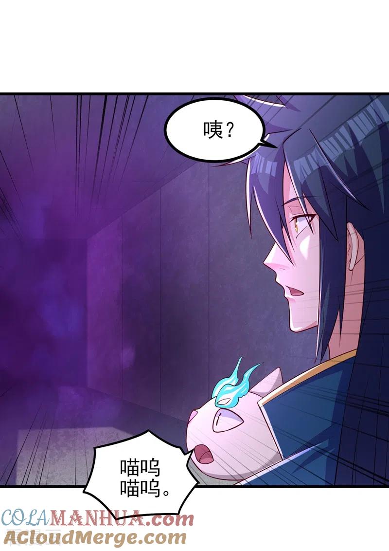 灵剑尊 第452话 武皇的考验 第17页