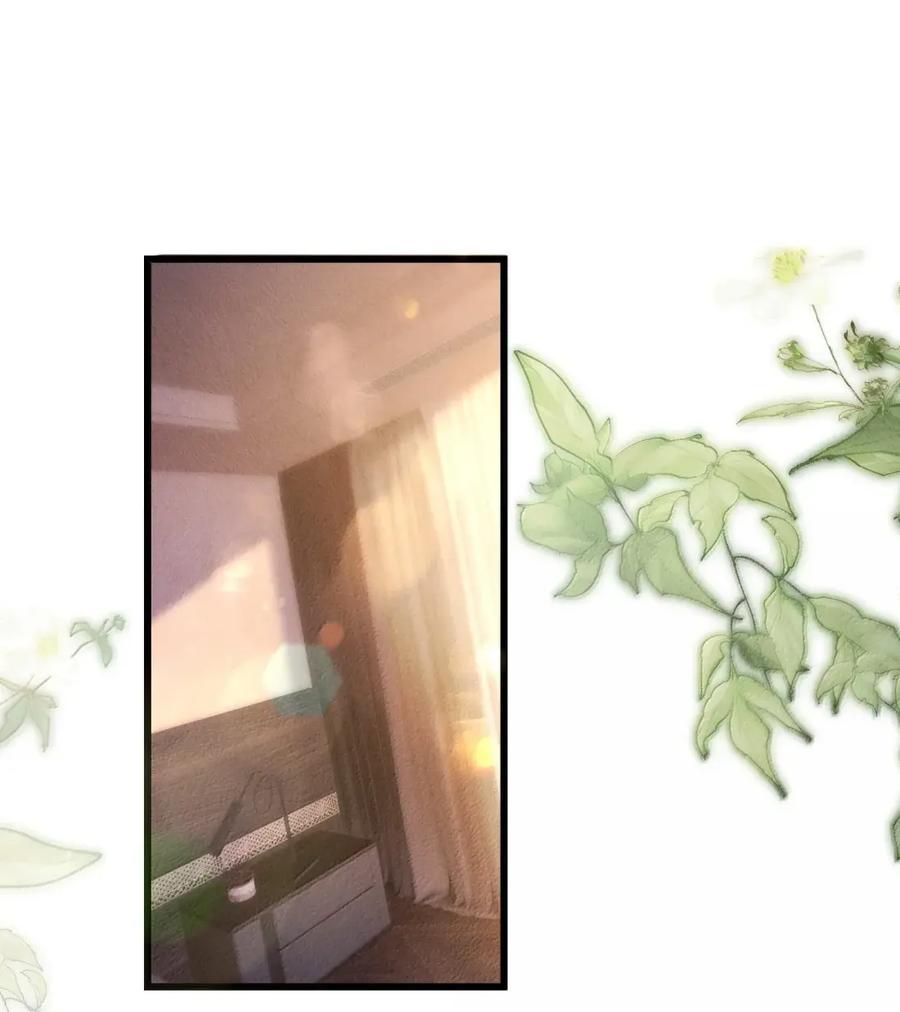 狂犬饲养法则 71 昨天的疯狂 第3页