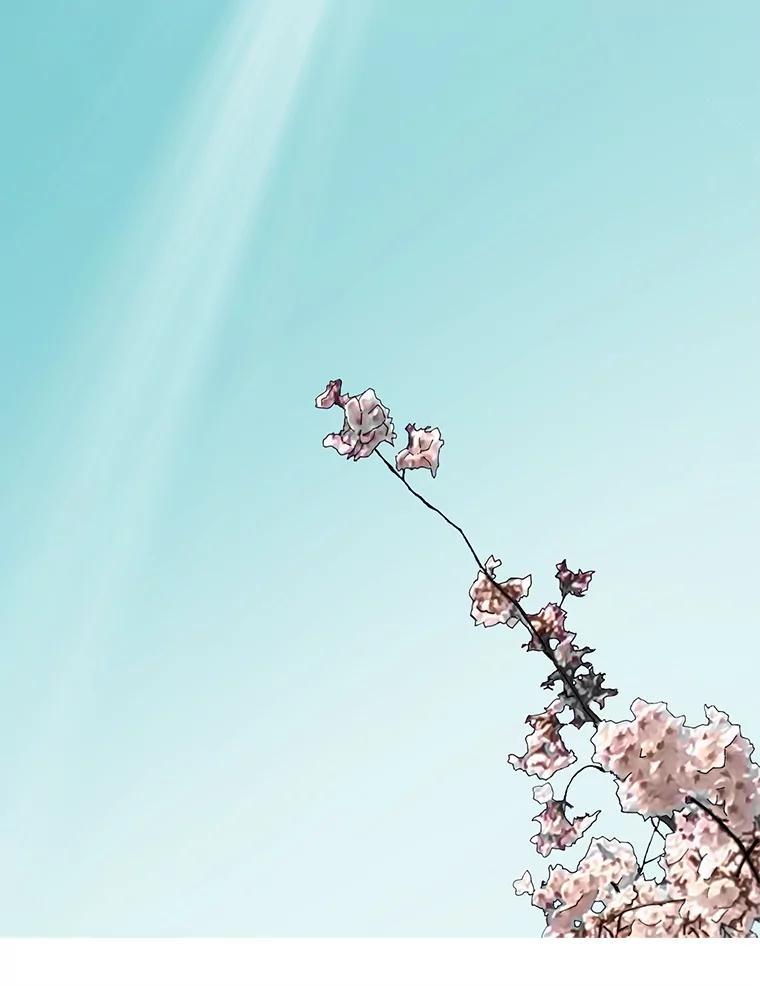 《梦境：黑色牢笼 Wonderland： Black Cage》46.删除账户 第112页