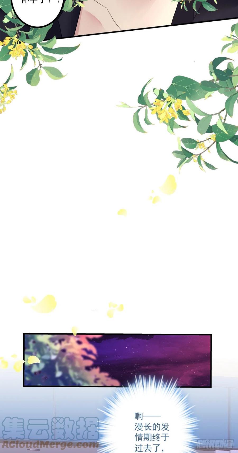 《绝对掌控（妄笙传）》怀孕？！ 第33页