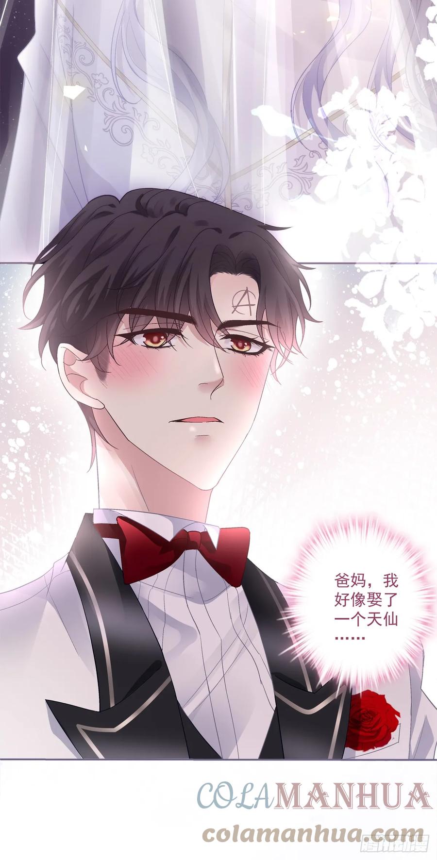 《绝对掌控（妄笙传）》我们结婚啦！ 第27页