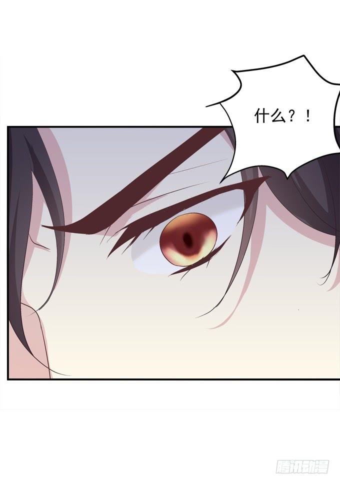 《绝对掌控（妄笙传）》这是谁家的小猫咪？！ 第48页