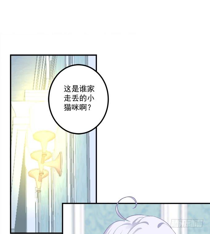 《绝对掌控（妄笙传）》这是谁家的小猫咪？！ 第11页