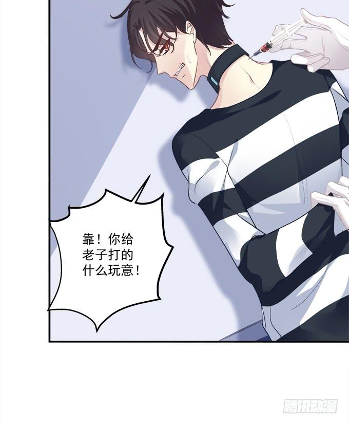 《绝对掌控（妄笙传）》这是谁家的小猫咪？！ 第45页