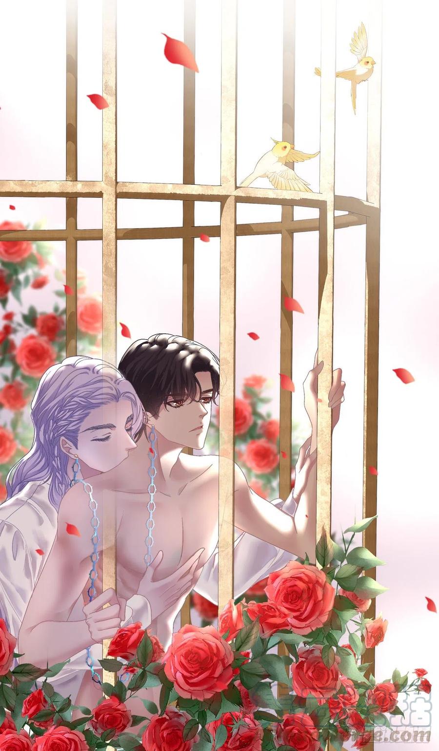 《绝对掌控（妄笙传）》秦斯 曾经那么爱我！ 第1页