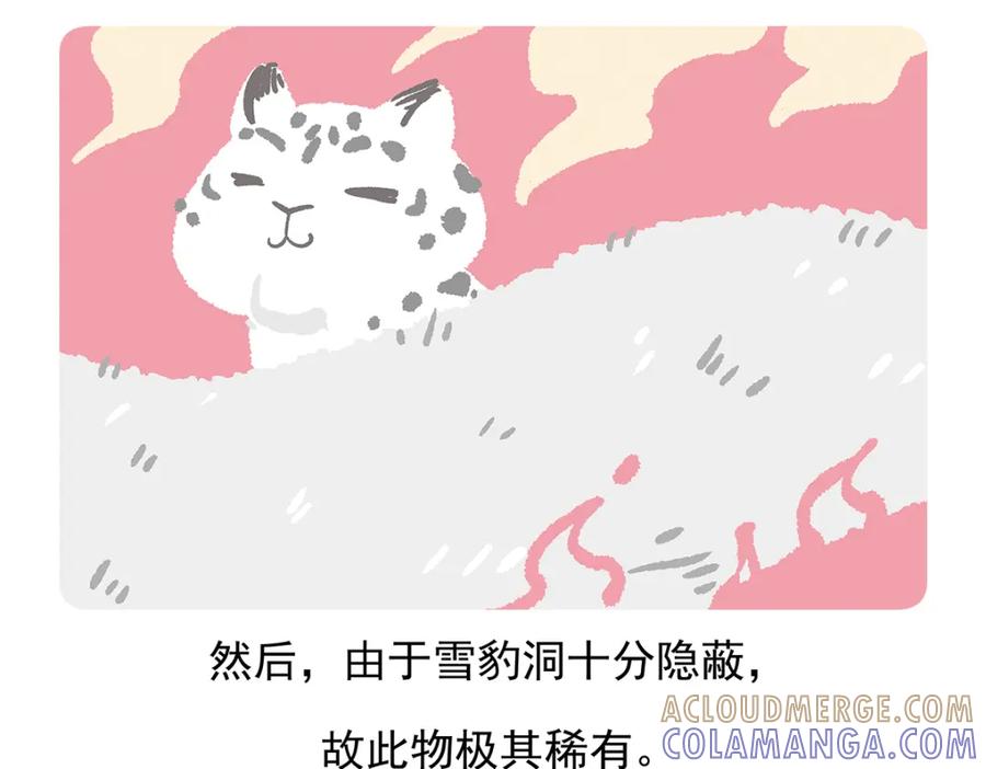 《胖达x胖达》第95话 第31页