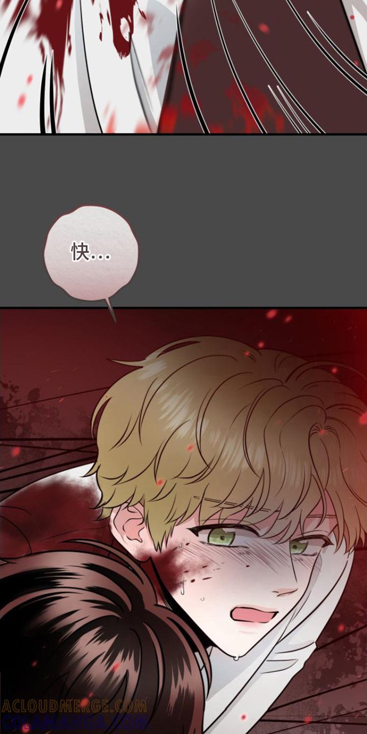 《绝命重逢》第11章：请杀了我 第9页