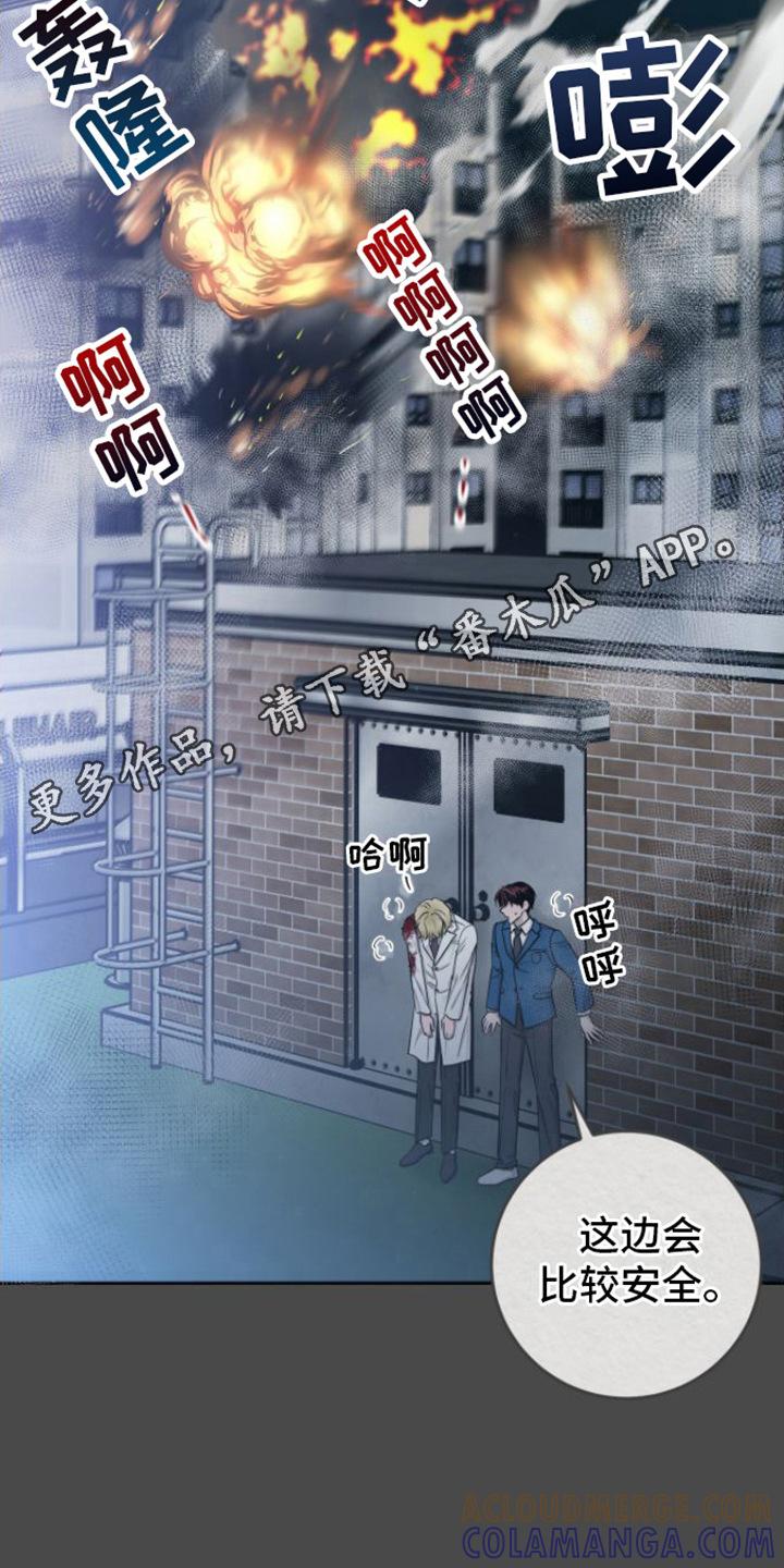 《绝命重逢》第11章：请杀了我 第11页