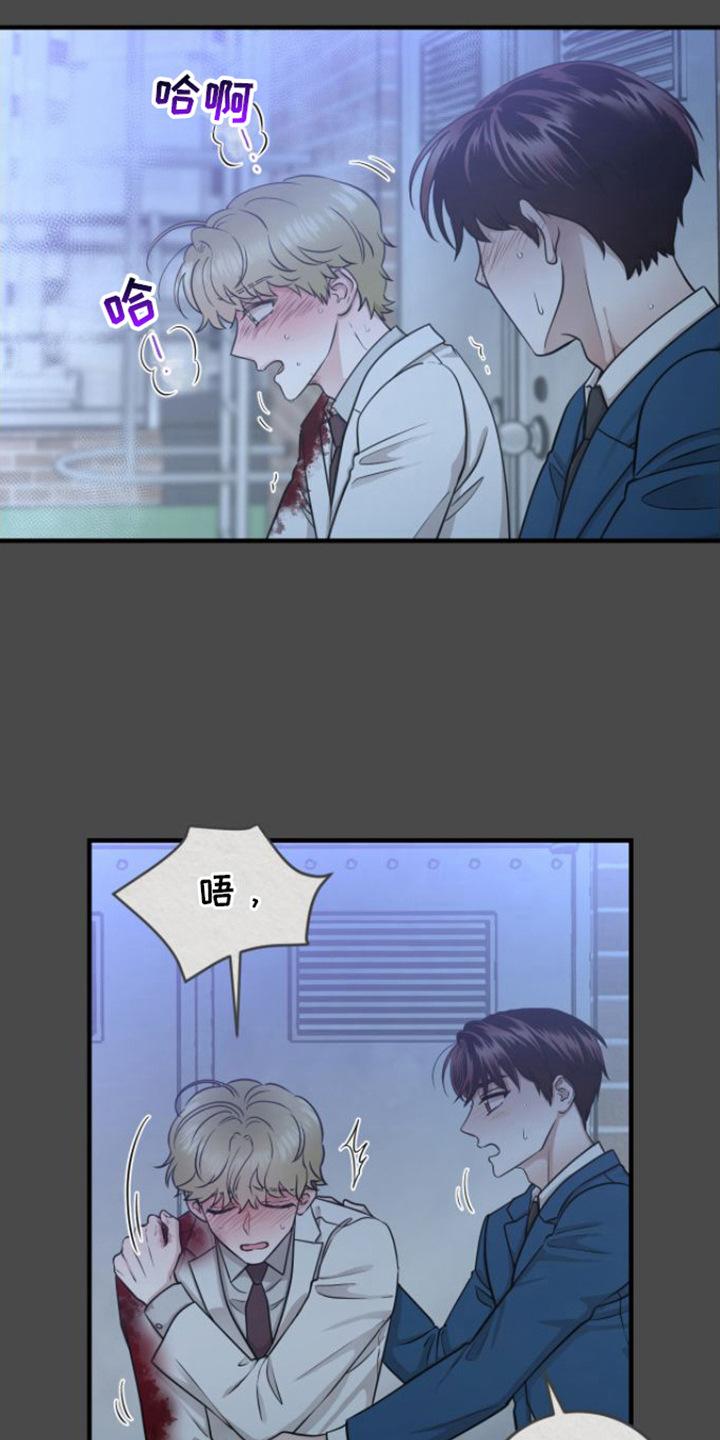 《绝命重逢》第11章：请杀了我 第12页