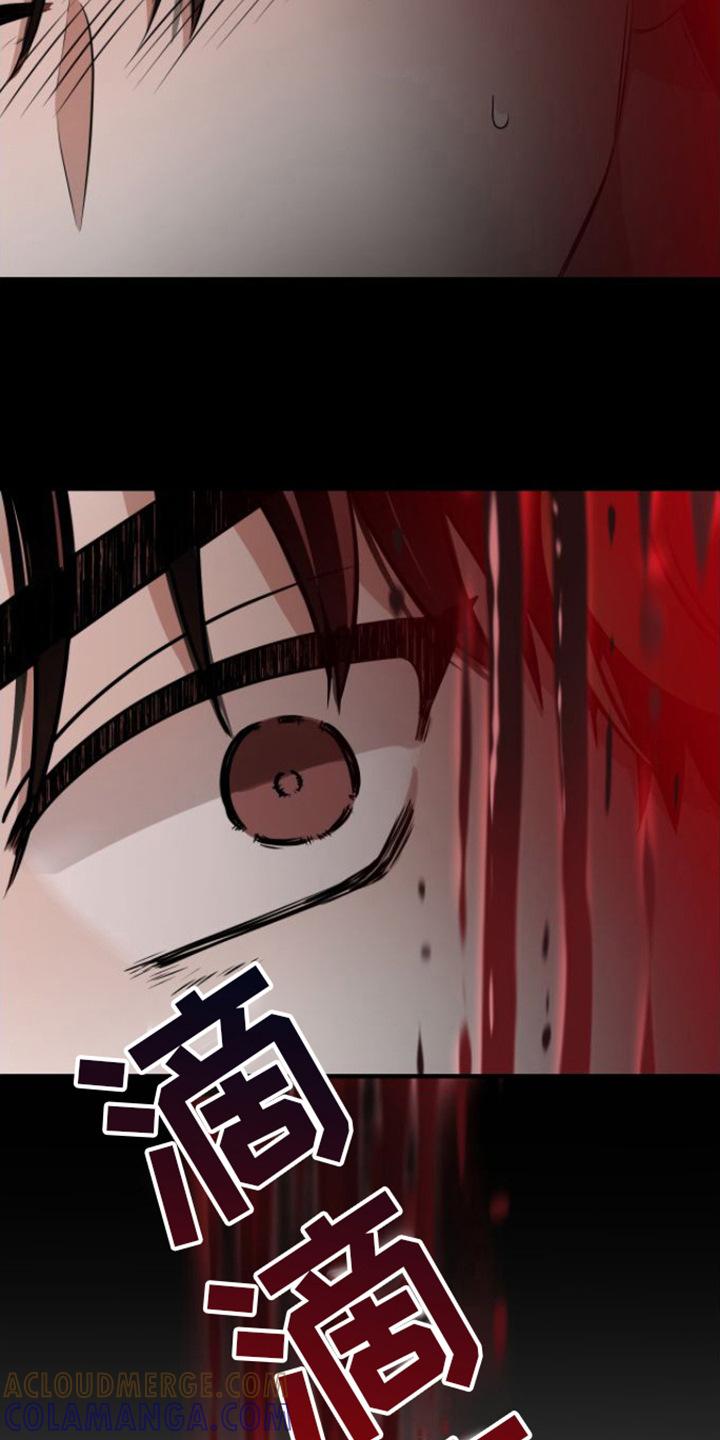 《绝命重逢》第11章：请杀了我 第7页