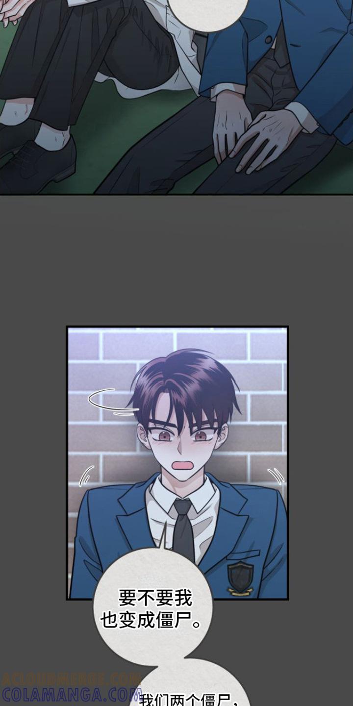 《绝命重逢》第12章：没法瞧 第13页