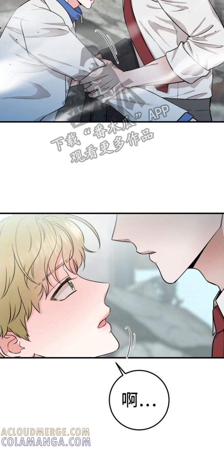 《绝命重逢》第14章：重逢 第17页