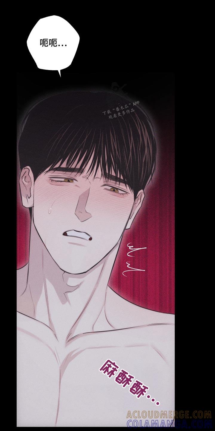《瓷器》第39章：没生气 第17页