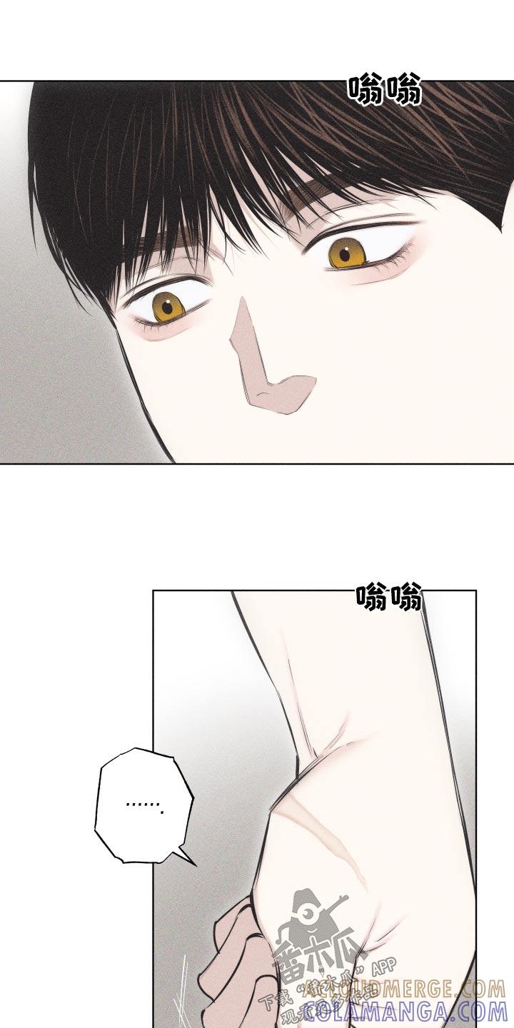 《瓷器》第40章：礼物 第17页