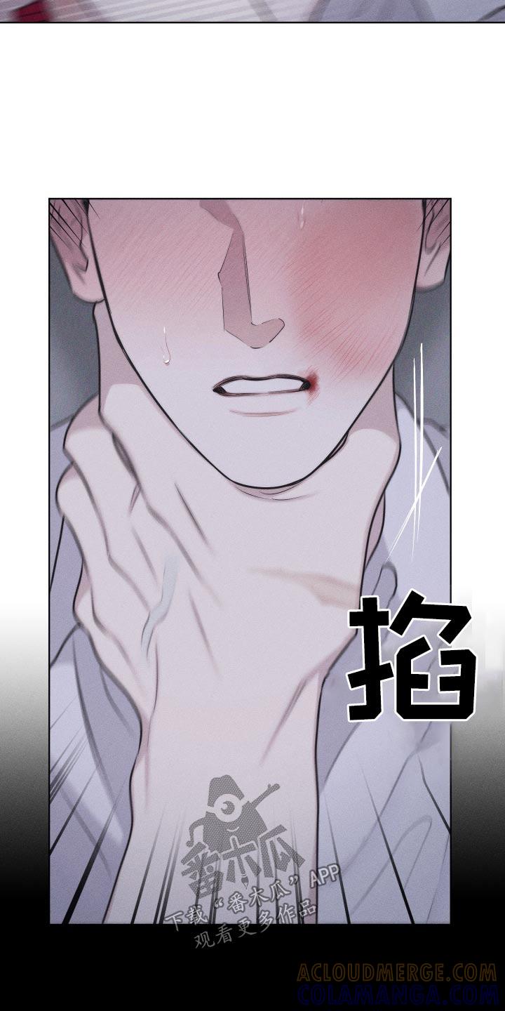 《瓷器》第42章：巴掌 第21页