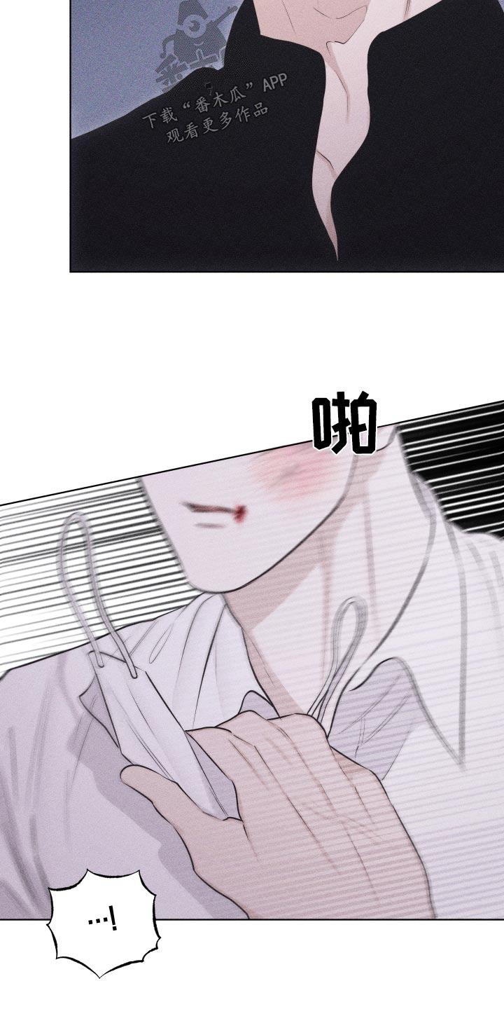 《瓷器》第44章：脸怎么了 第14页