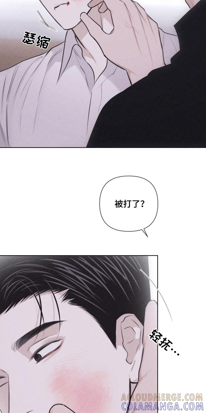 《瓷器》第44章：脸怎么了 第17页