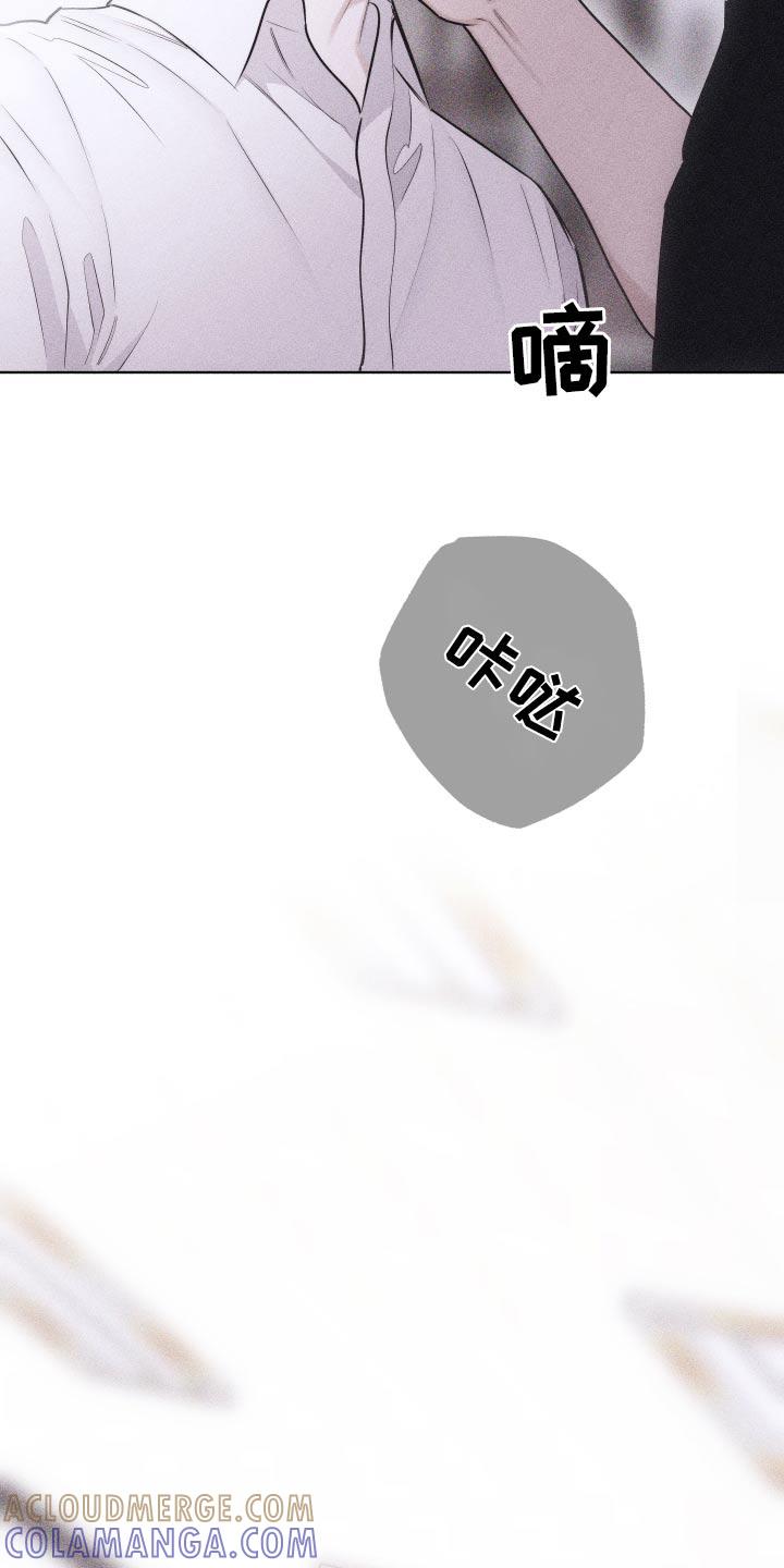 《瓷器》第44章：脸怎么了 第21页