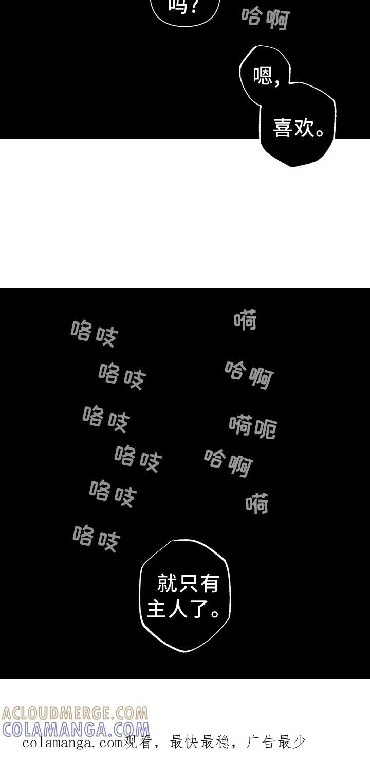 《瓷器》第45章：质疑 第33页