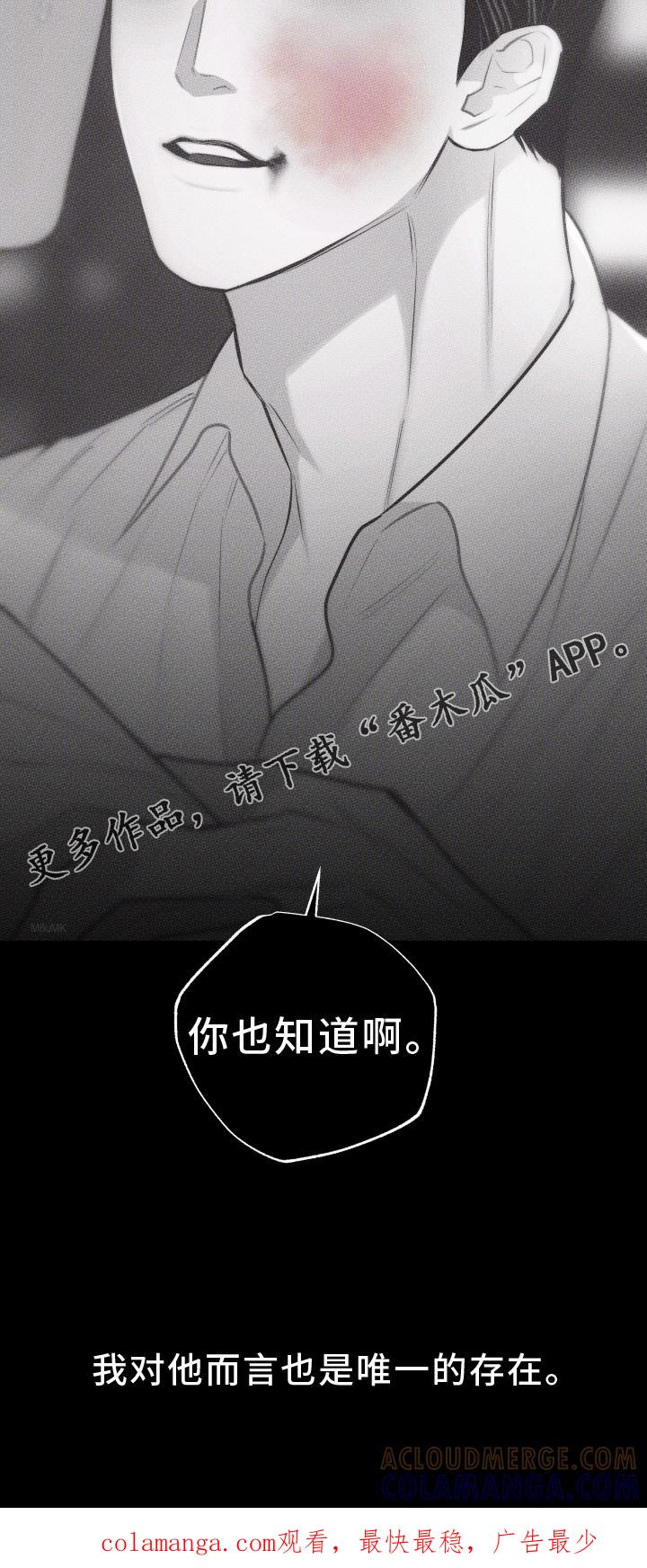 《瓷器》第46章：安排 第31页