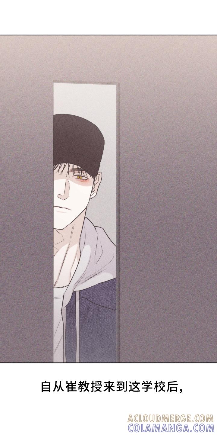 《瓷器》第46章：安排 第5页