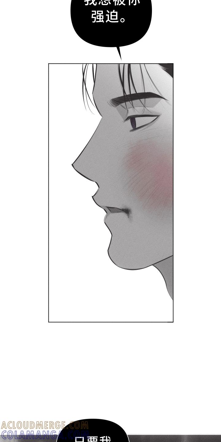 《瓷器》第46章：安排 第23页