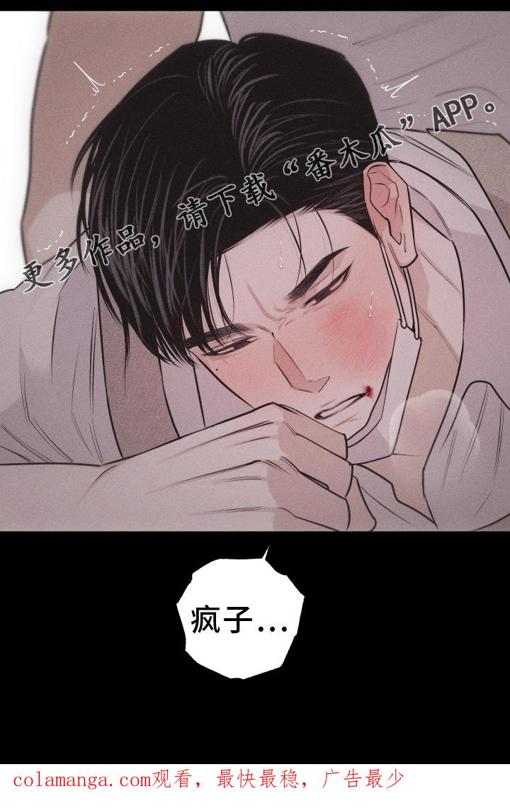 《瓷器》第47章：疯子 第20页