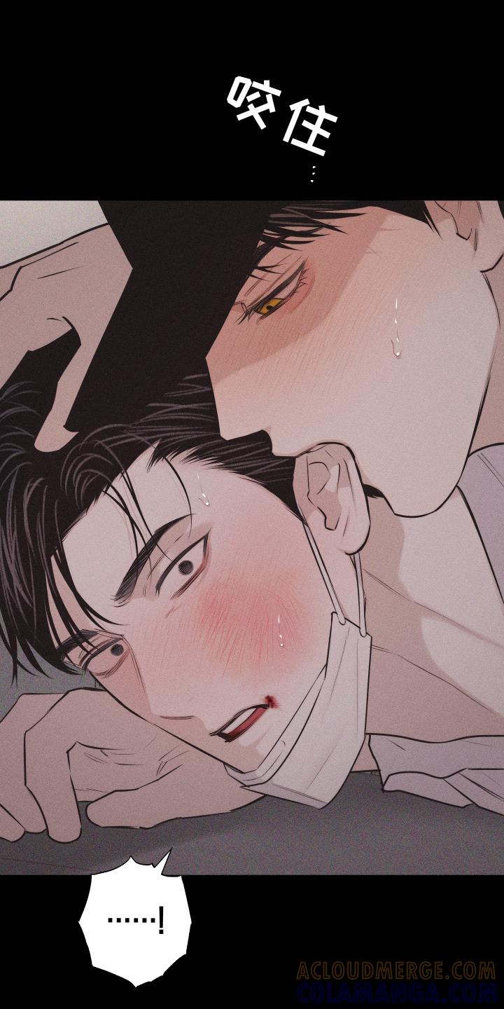《瓷器》第47章：疯子 第7页