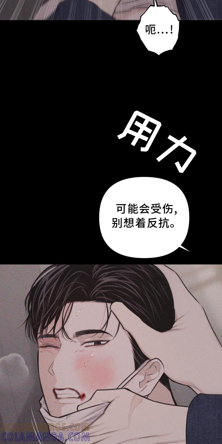 《瓷器》第47章：疯子 第3页