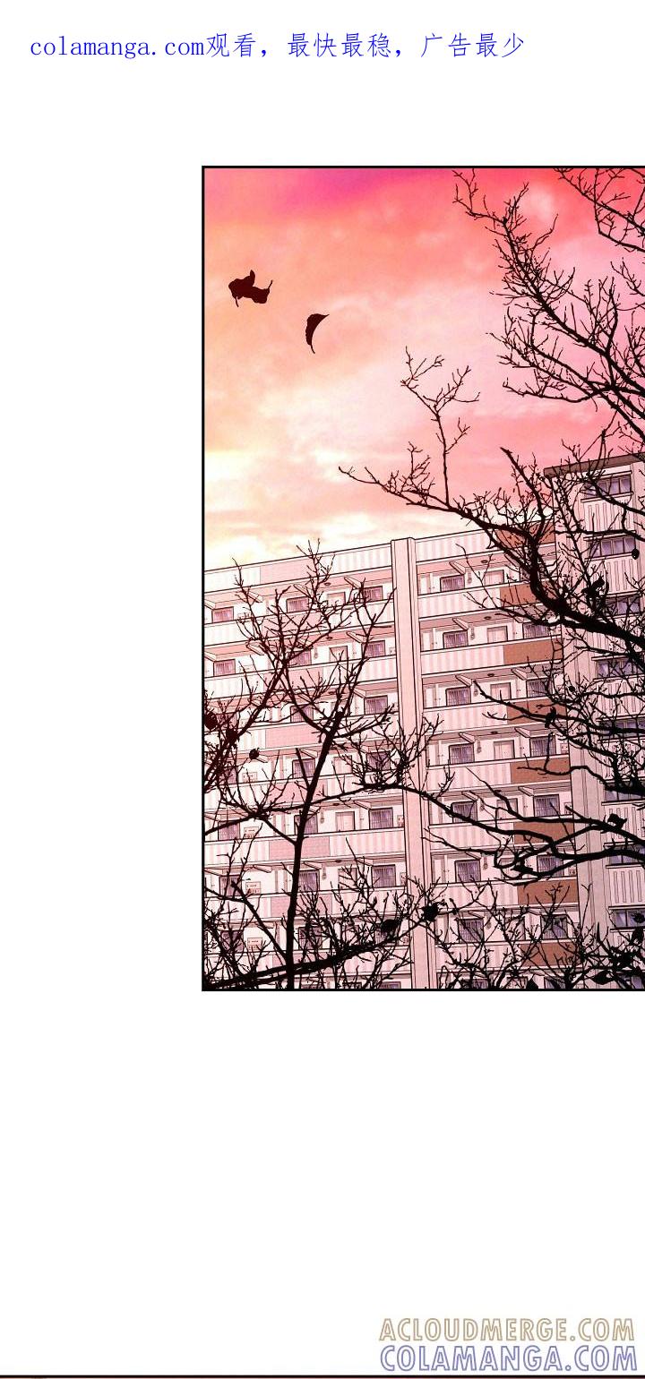 《独占预谋》第120章：【第二季】试着生活 第1页