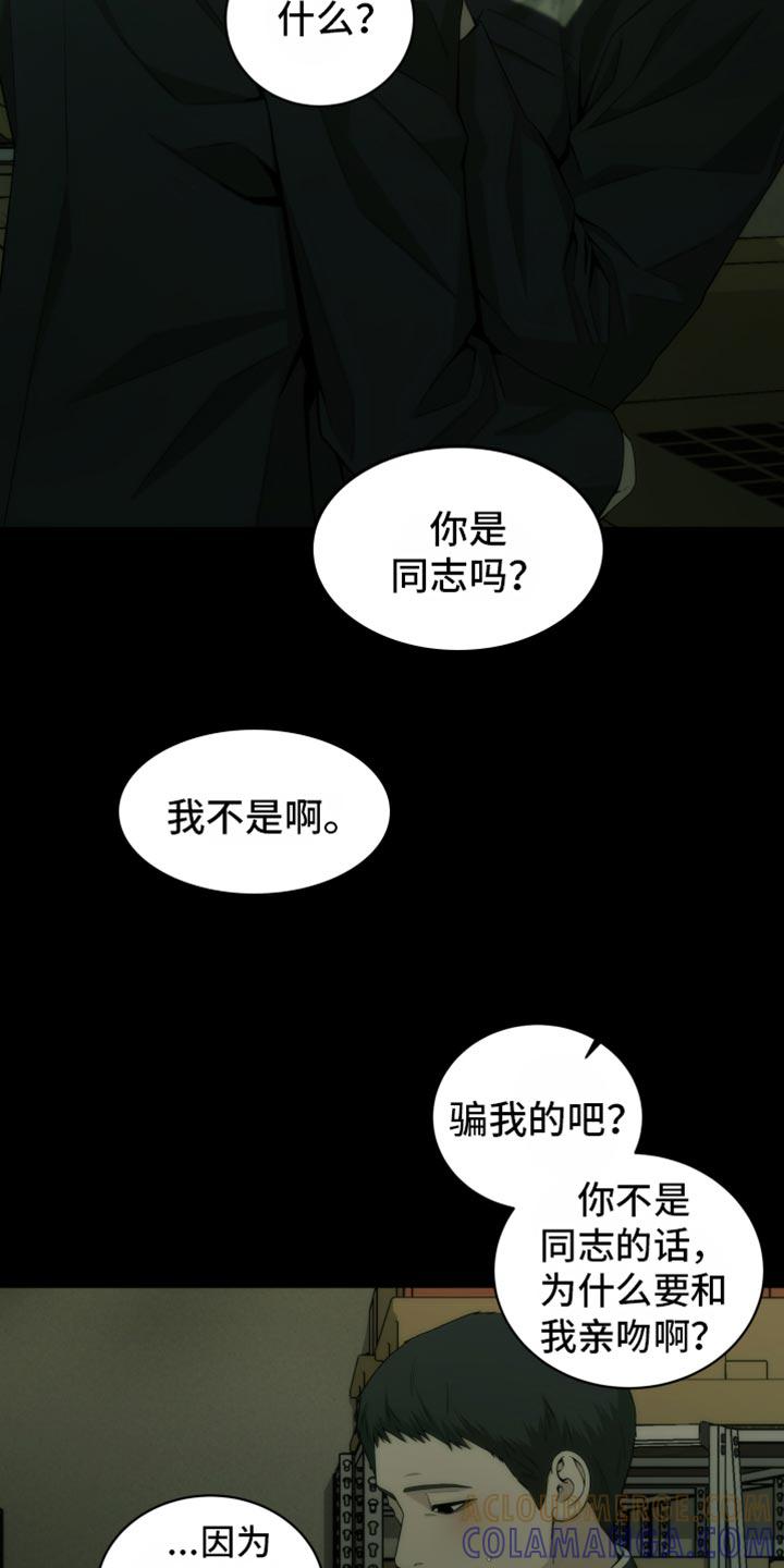 《致命诱饵》第16章：被发现了 第15页