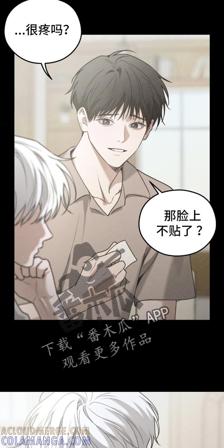 《纯白的假象》第60章：【第二季】给他吃点东西 第13页