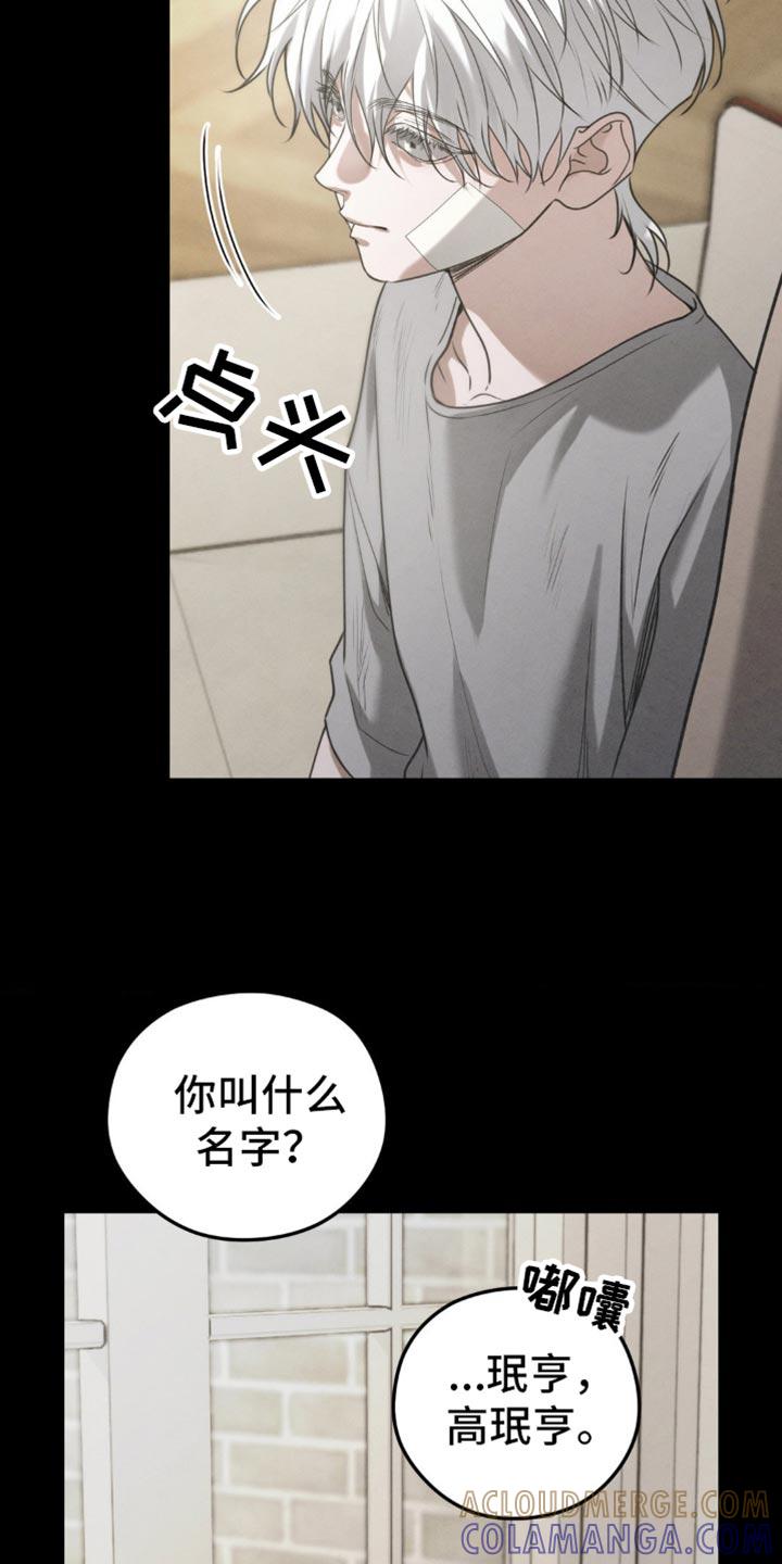 《纯白的假象》第61章：【第二季】梦到以前 第9页
