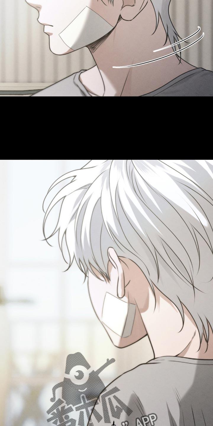 《纯白的假象》第61章：【第二季】梦到以前 第12页