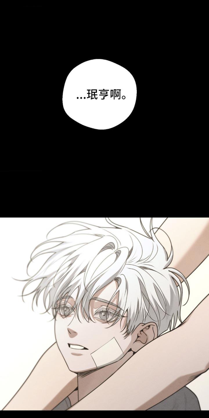 《纯白的假象》第61章：【第二季】梦到以前 第14页