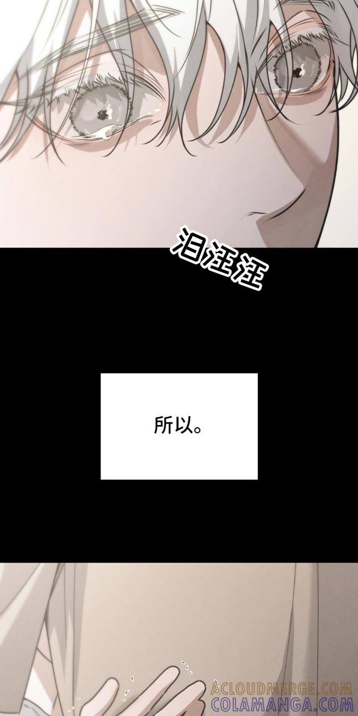 《纯白的假象》第61章：【第二季】梦到以前 第17页