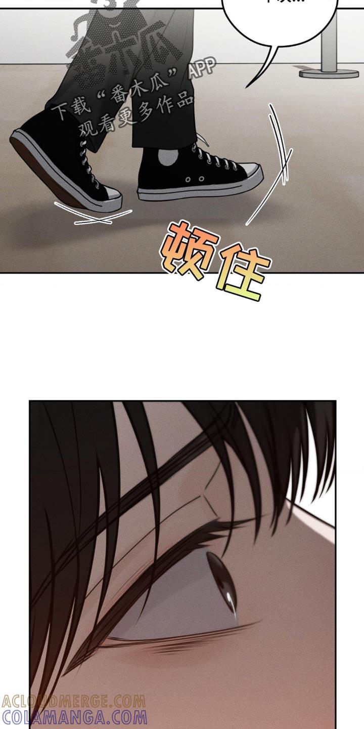 《纯白的假象》第65章：【第二季】意义非凡 第3页