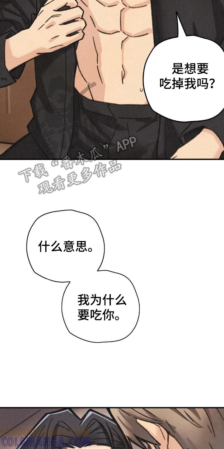 《绝密追缉》第10章：醒来 第19页