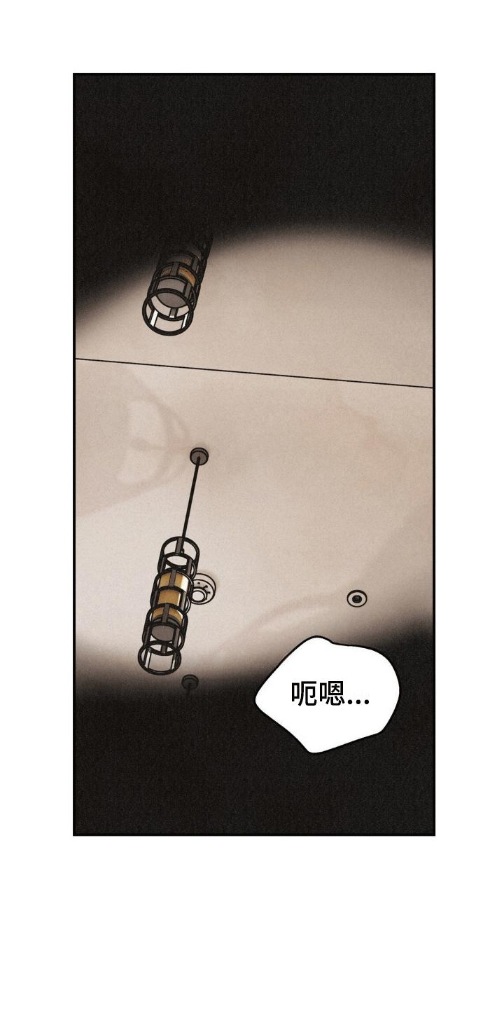 《绝密追缉》第10章：醒来 第2页