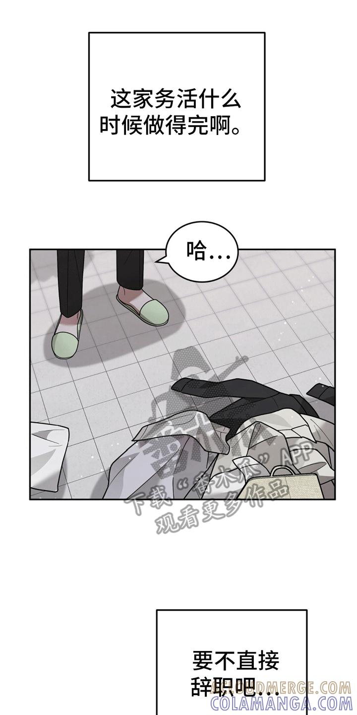 《秘书生存指南》第12章：卑微社畜 第43页