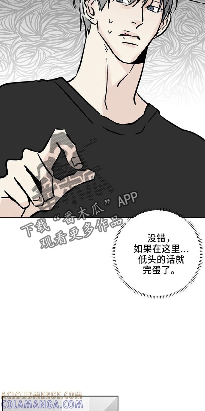 《邻居攻略》第40章：搞什么 第17页
