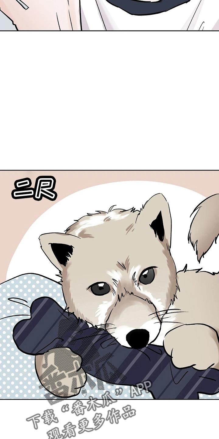 《邻居攻略》第41章：二尺 第18页
